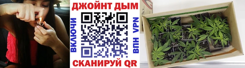 Купить закладки  Узловая  Конопля сатива 
